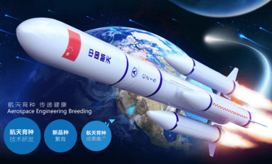 一颗种子经历“太空旅行”后会发生怎样的变化？