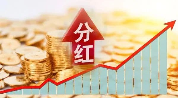 揭秘千款分红险！红利"打折"背后的五大真相
