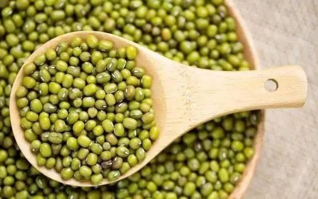 绿豆的养生之道：营养价值、搭配技巧与食用禁忌