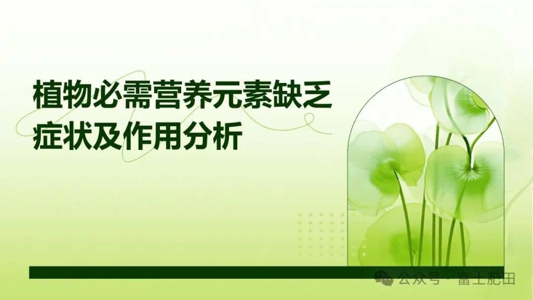 植物必需营养元素缺乏症状及判定