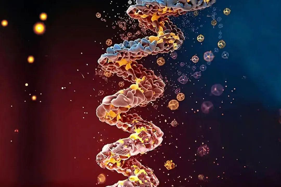前沿进展：通过层次结构信息和分子动力学模拟发现高活性肽