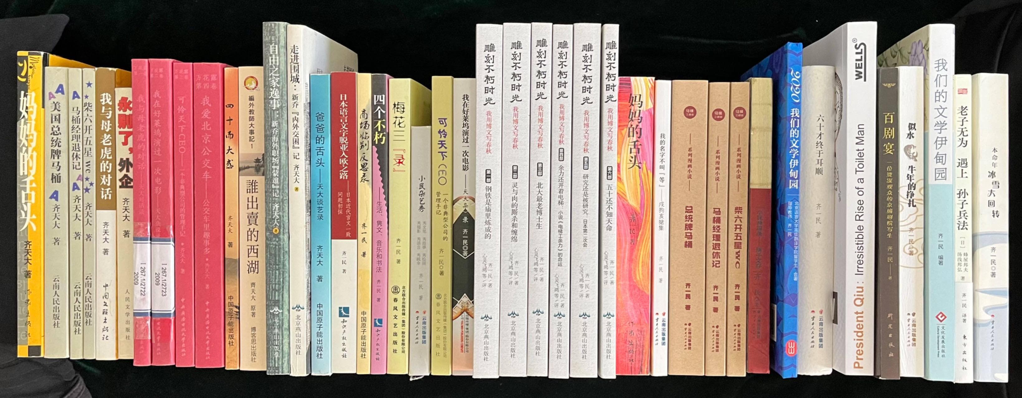 齐一民：当代中国独树一帜的文学探索者