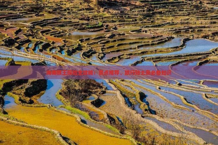 海南南湾猴岛全攻略：5大景点+3种交通方式，带你玩转中国唯一岛屿型猕猴保护区
