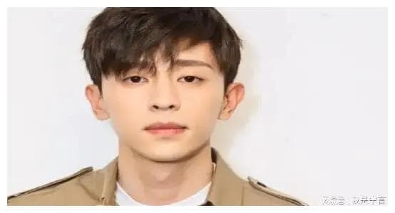 偷税漏税事件中的明星自毁前程：警钟长鸣，艺人应遵纪守法