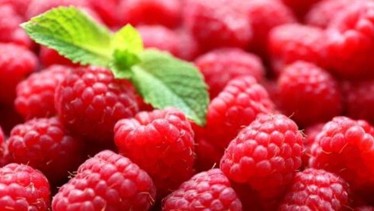 树莓的功效与作用、禁忌和食用方法