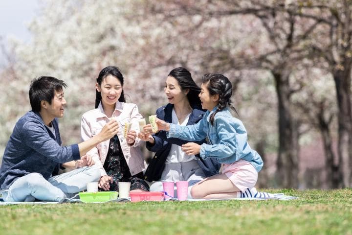 日本的春天！一边赏樱花一边品尝时令美食