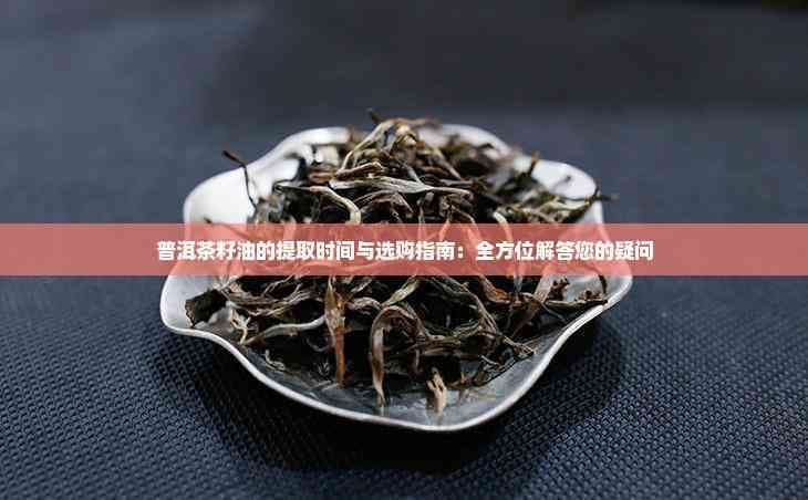 普洱茶籽油的提取时间与选购指南：全方位解答您的疑问