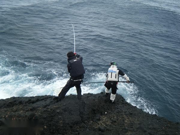 浅谈浮游矶钓诱饵的作用与特性