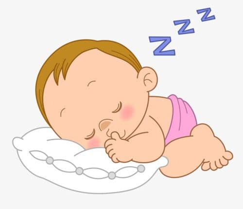 幼猫夜啼安抚法，营造安静睡眠环境。
