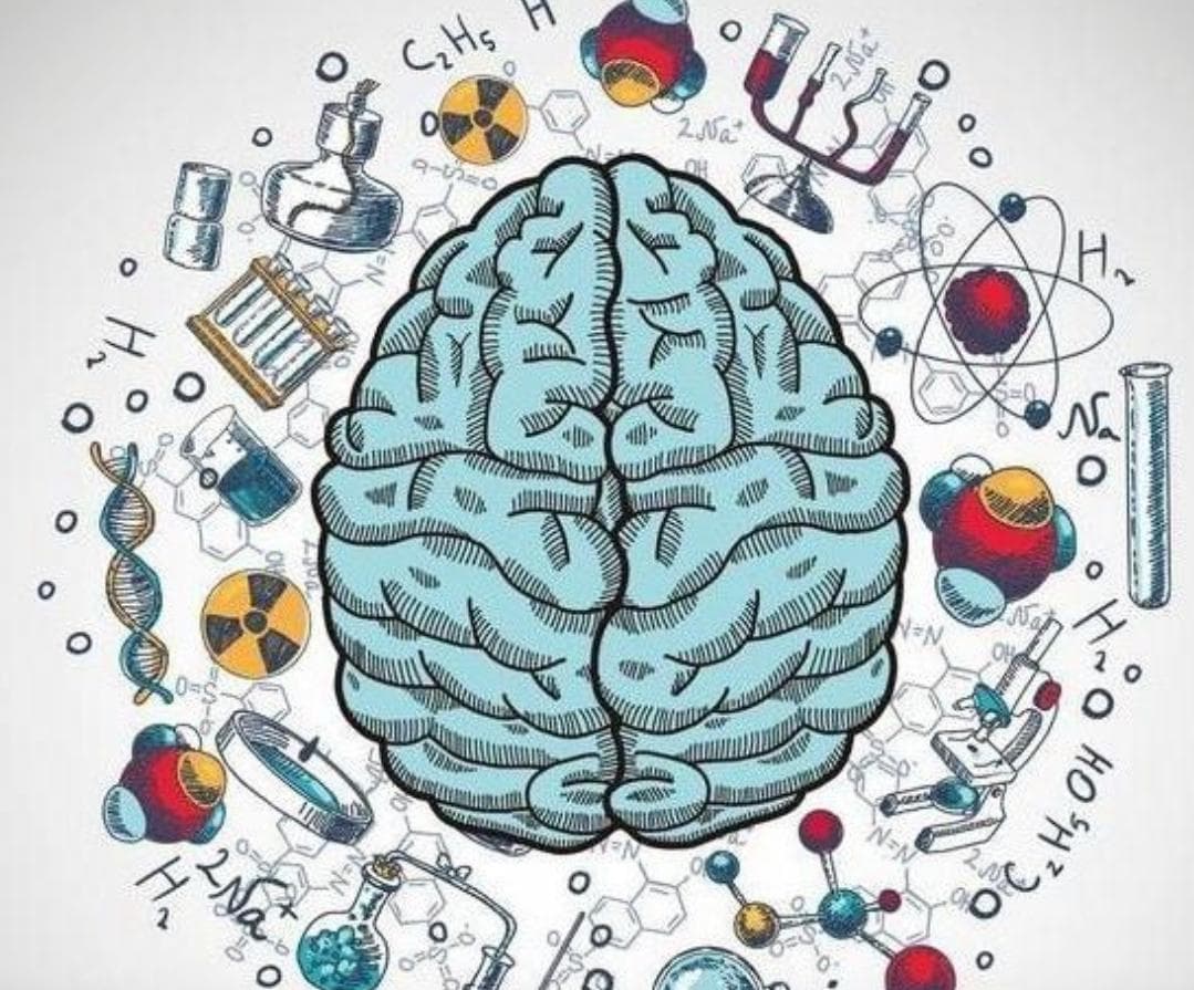 脑炎后认知启航：为孩子的智慧之舟扬帆