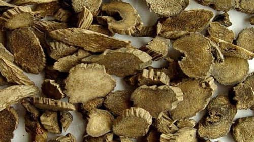 川牛膝的功效与作用