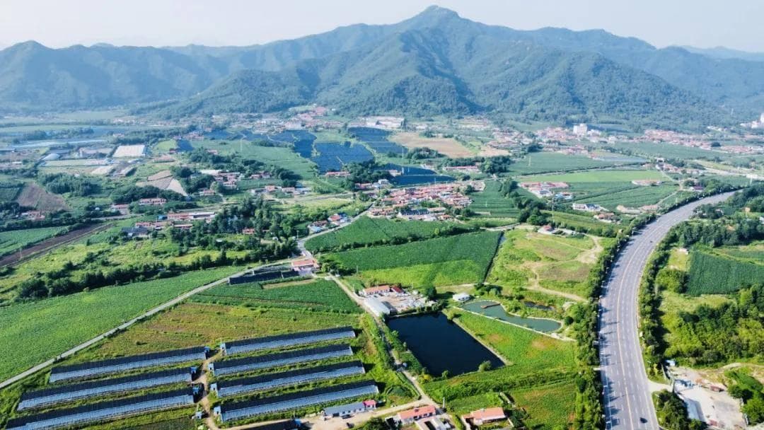 2025，乡村振兴何去何从？十大发展机遇，赶紧抓住！