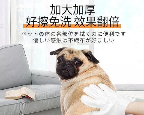 小猫洗澡应该用多少度的水？最佳水温是多少？
