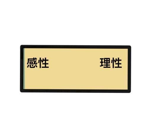 理性：解读理性，探索其在人类生活中的重要性和应用