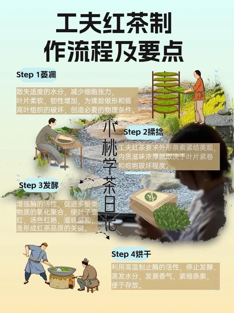 红茶的制作过程，从鲜叶到香醇饮品