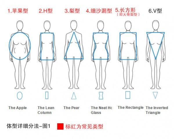 12种体型分析，你属于哪种？