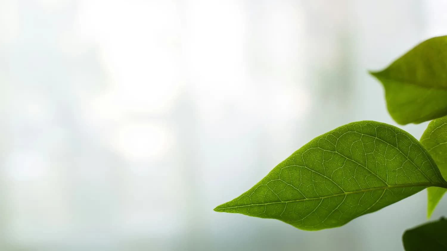 工业绿色低碳转型：高风险投资的新风口？