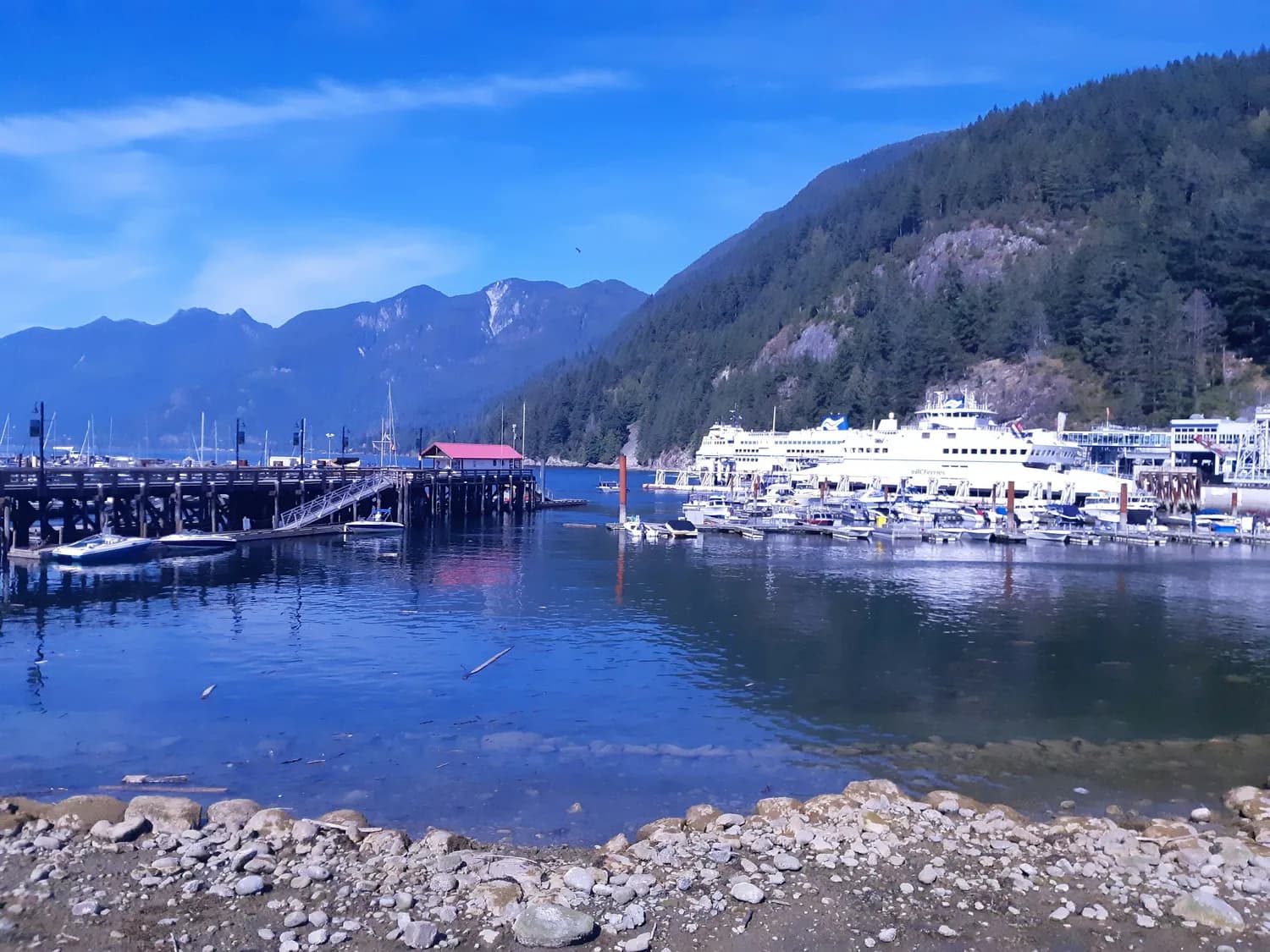 龙龛码头：大理最美打卡地，红杉海鸥洱海尽收眼底
