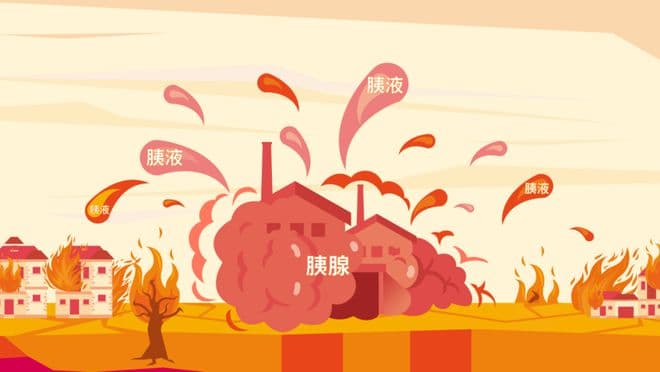 牛奶血、反复胰腺炎和糖尿病：一场身体里的“连环车祸”