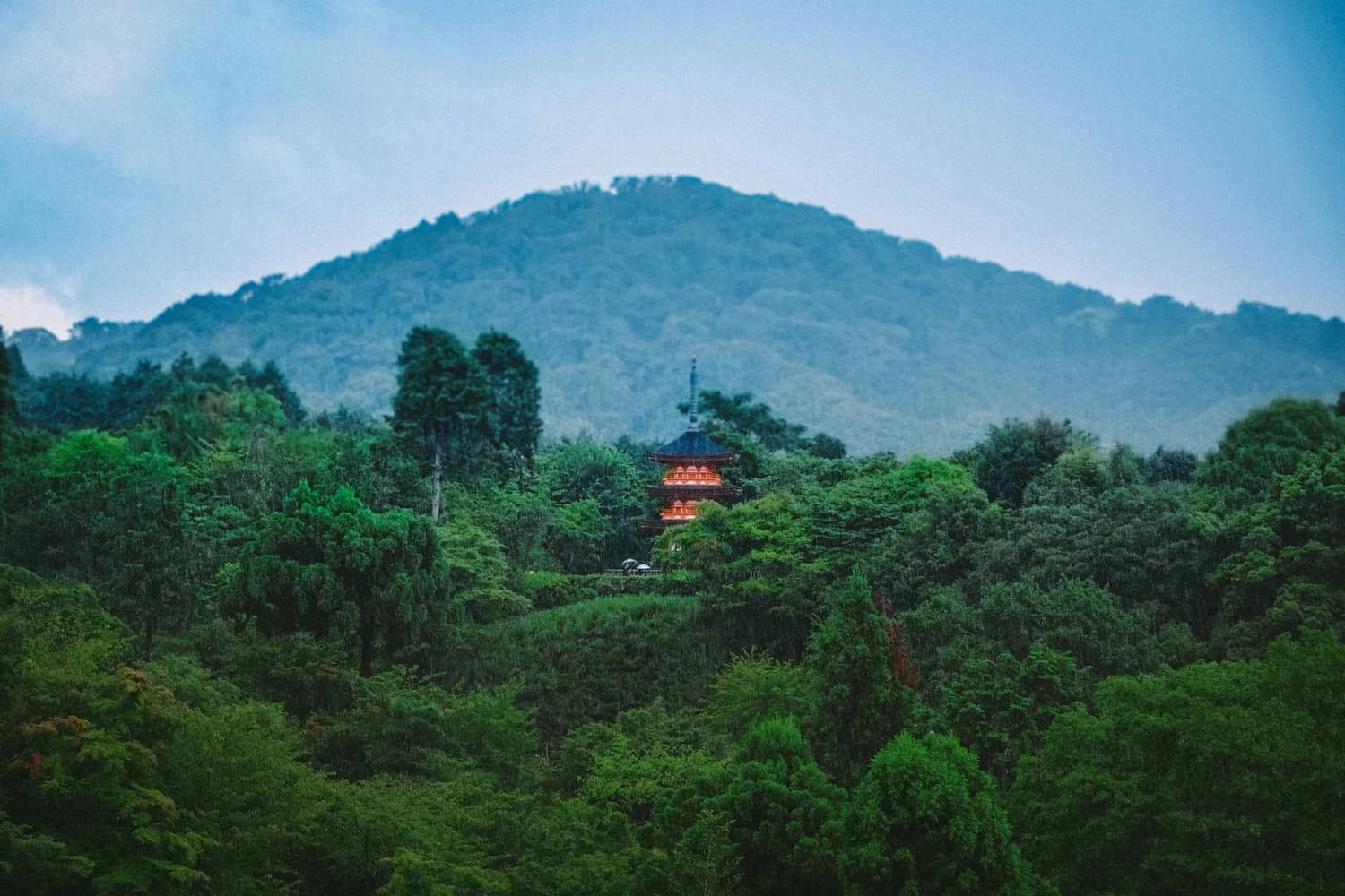 广东观音山：30米观音像守护的森林康养胜地
