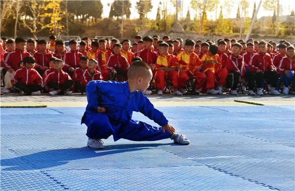 嵩山少林寺武术气功函授班,少林镇山棍法教学