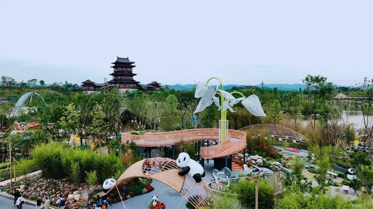 中法建交60周年：大熊猫“领路”雅安融入“国际朋友圈”
