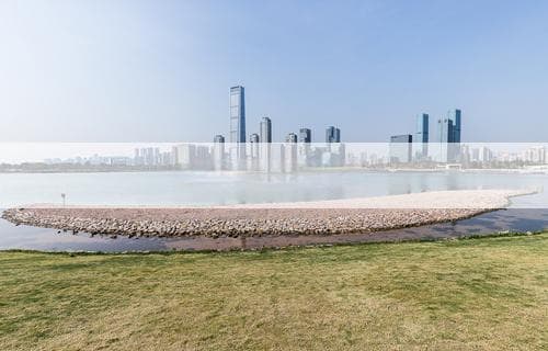 蜜蜂怎么过冬：生存策略与护理指南