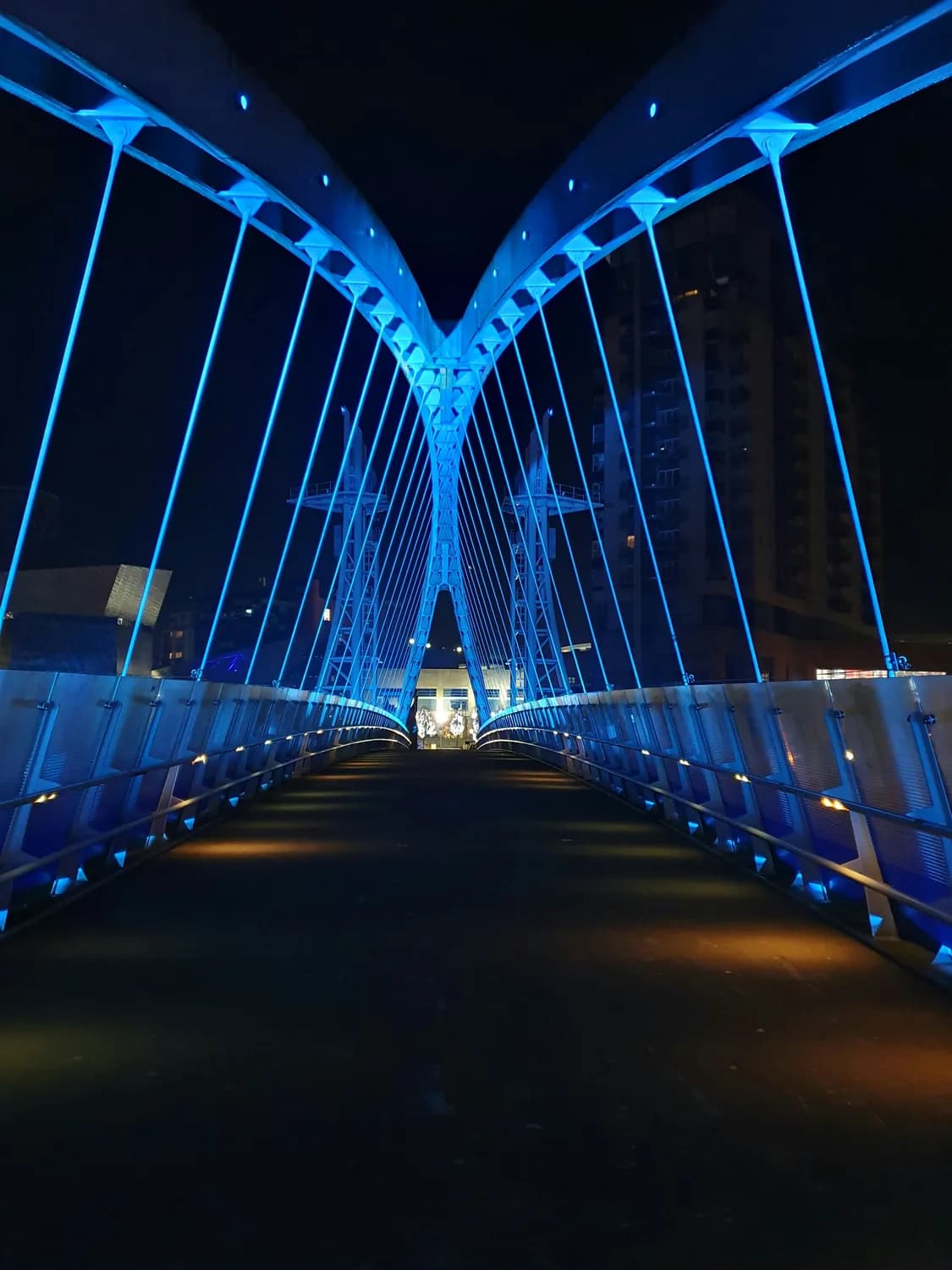 南宁南湖公园：九曲桥夜景拍摄攻略