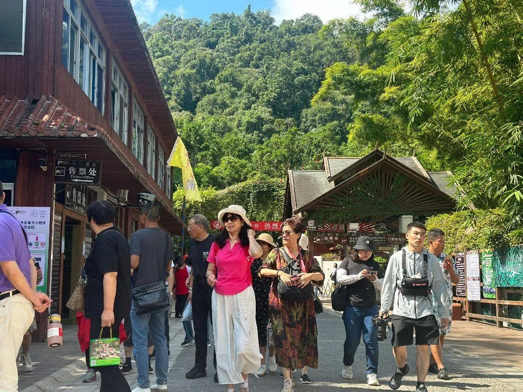 开启暖冬之旅 西双版纳“错峰游”热度不减