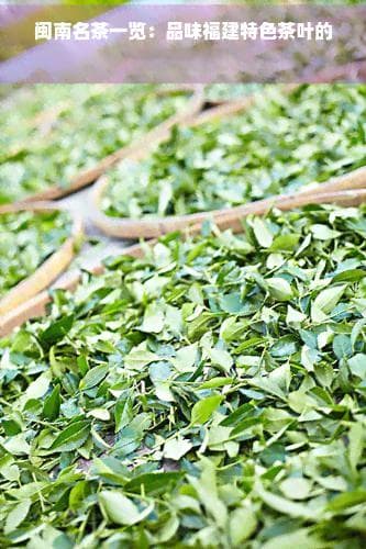 闽南名茶一览：品味福建特色茶叶的魅力与种类