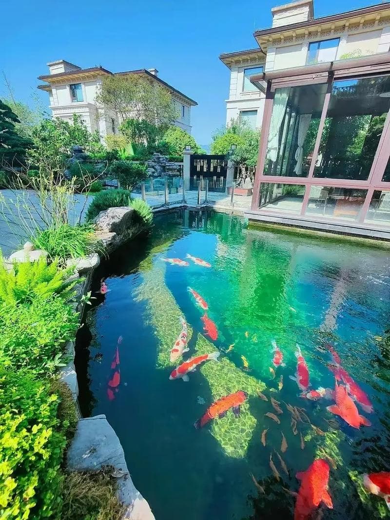 院内水池风水布局指南：形状、位置、深度等关键要素详解