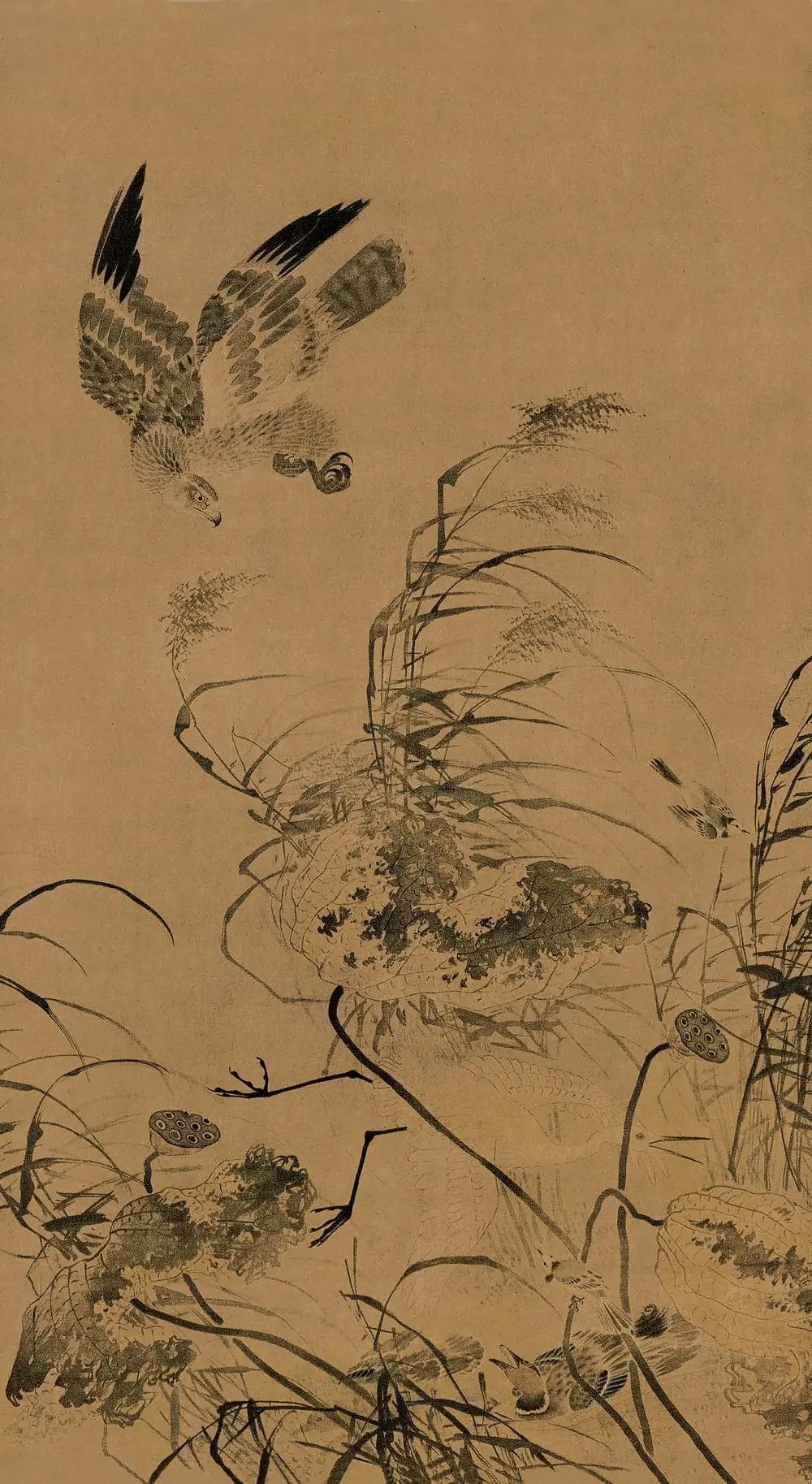 残荷鹰鹭图：吕纪的传世之作