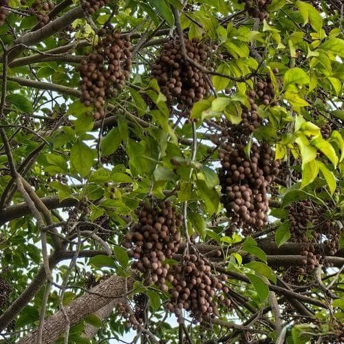 渐行渐远的艺术：如何优雅地告别一段关系