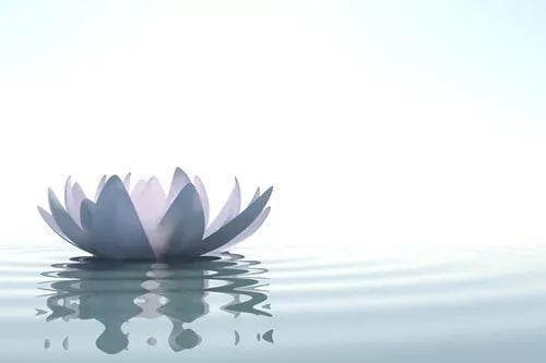《维摩诘经》十大经典名句，安顿一生的终极智慧