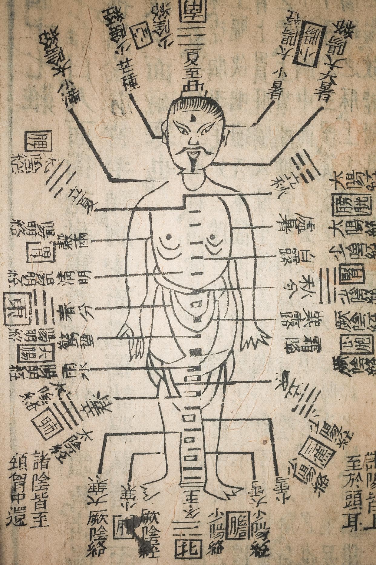 “三焦”一个独特而重要的概念