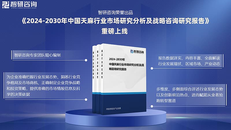 中国天麻行业投资前景分析、未来发展趋势研究报告（智研咨询发布）