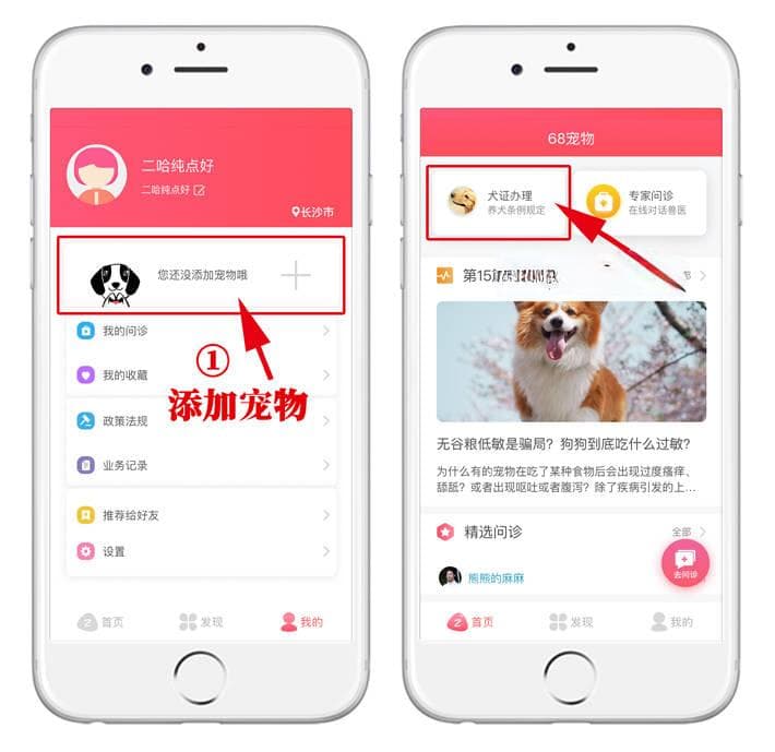 开设宠物店必备指南：各类证件办理条件与流程详解