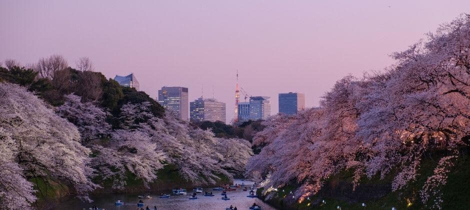 日本留学：留学生指南