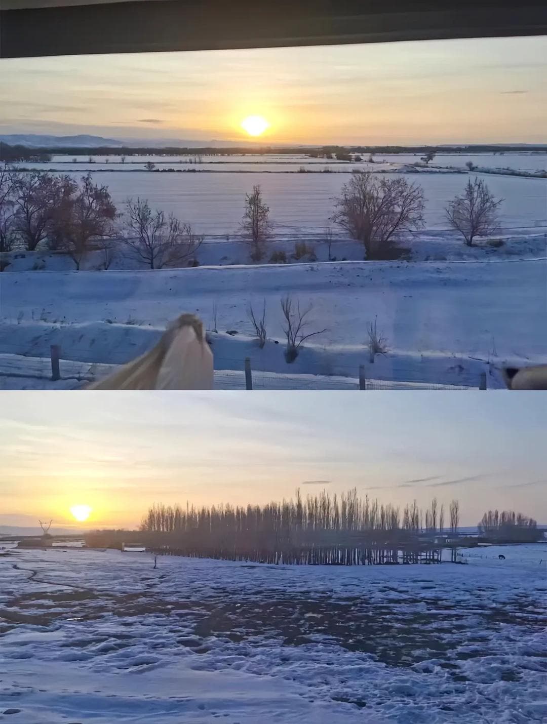 阿勒泰雪国列车冬季旅行攻略及避坑指南：绝美雪景体验与实用贴士