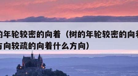 揭秘树木年轮的秘密：为什么南疏北密？
