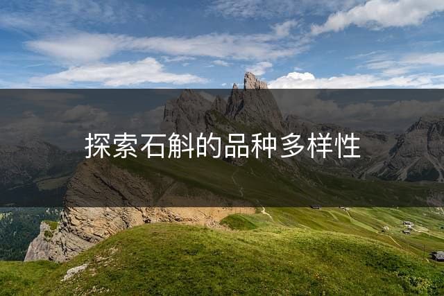 探索石斛的品种多样性