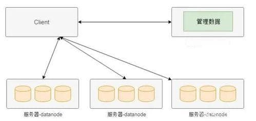 分布式存储技术：原理、策略与应用