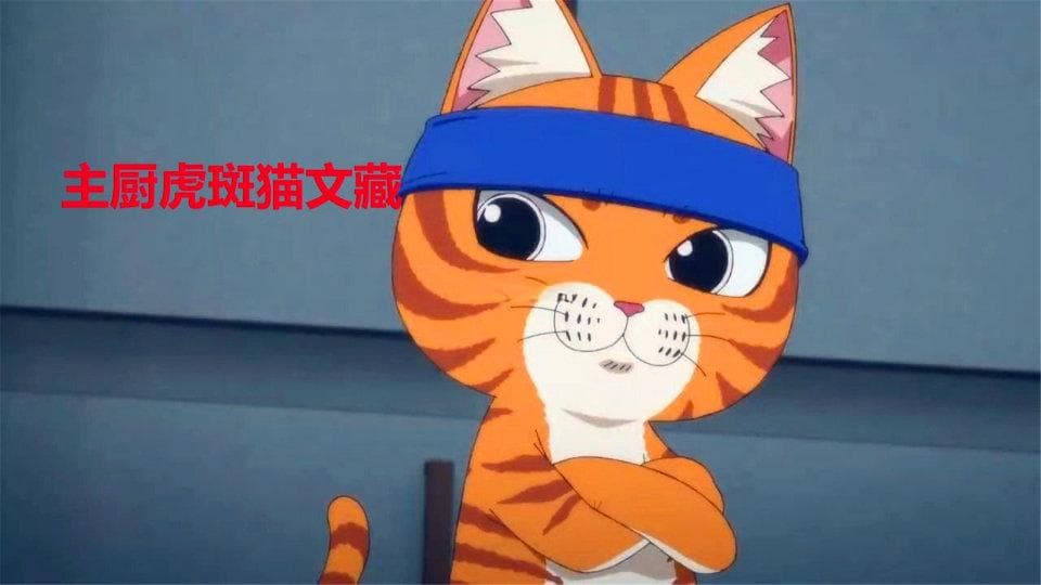 《喵星人》：二次元萌宠动画的新宠儿