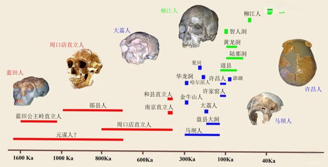 中国境内古人类是现代中国人祖先吗？