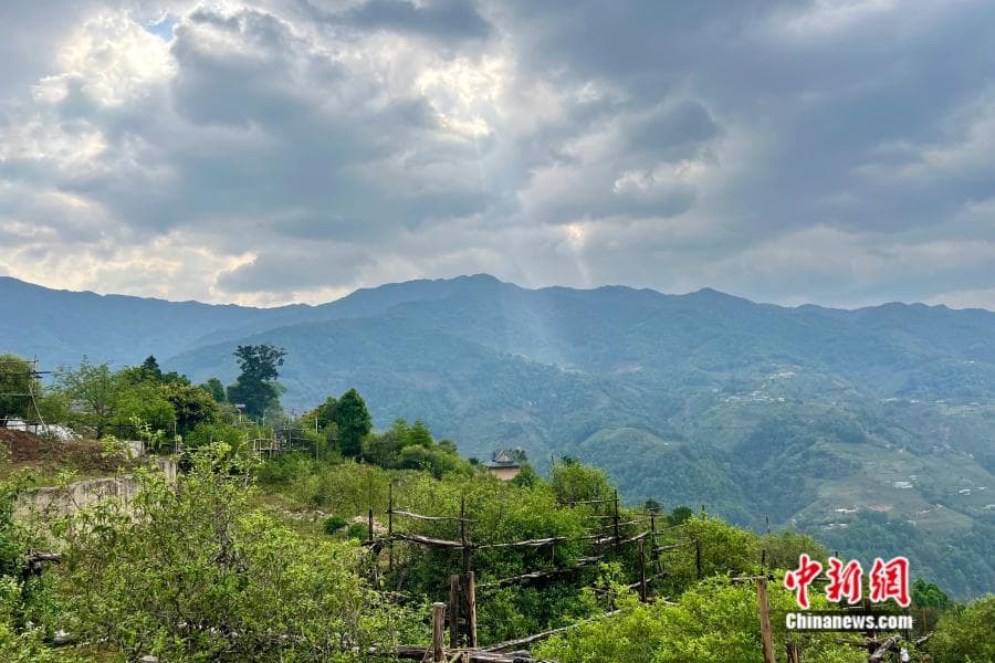 云南天下茶仓之旅：品味古韵清茶的万千气象