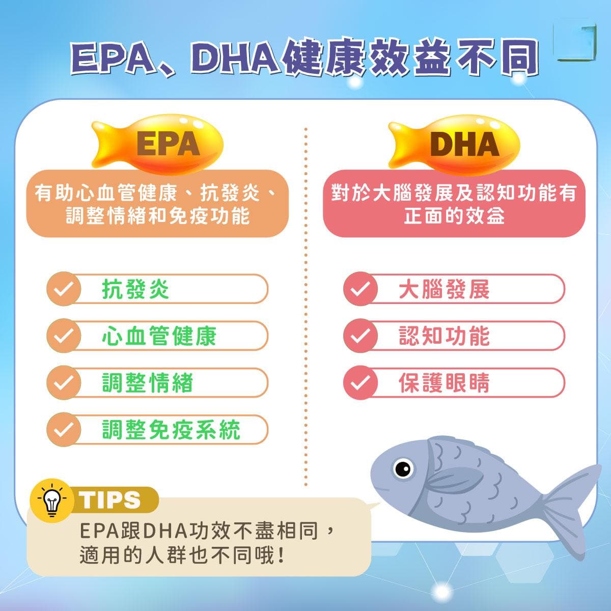 EPA 魚油指南：盤點 EPA 魚油 7 大功效及挑選 6 原則