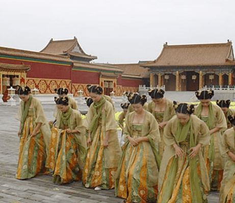 古代宫女出宫后的境遇：原因与影响