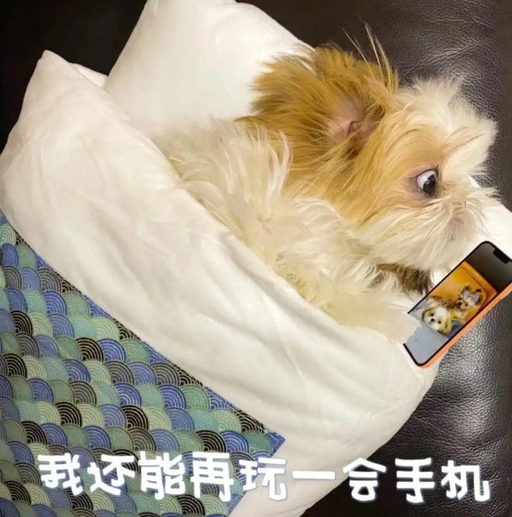 一觉醒来眼皮肿成“悲伤蛙”？原来是“针眼”作怪！这样做消得快→