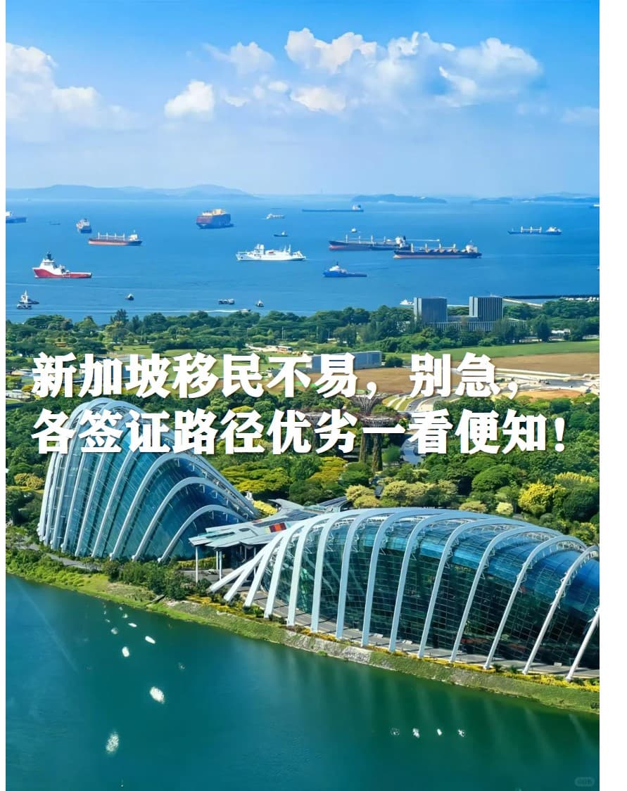 新加坡移民不易，各签证路径优劣全解析