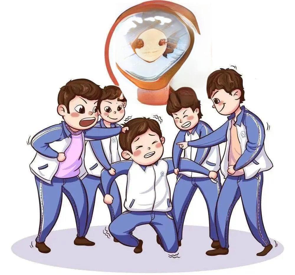法护童行 | 做好儿童权益的守护人